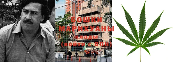 сатива Липки