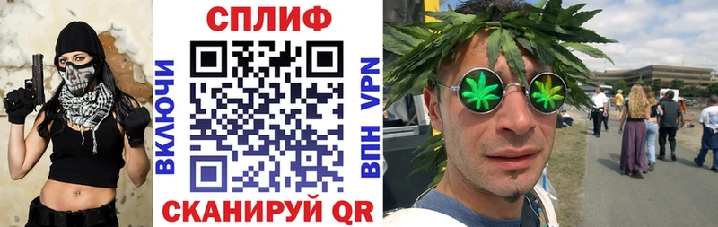 Конопля индика Кочубеевское